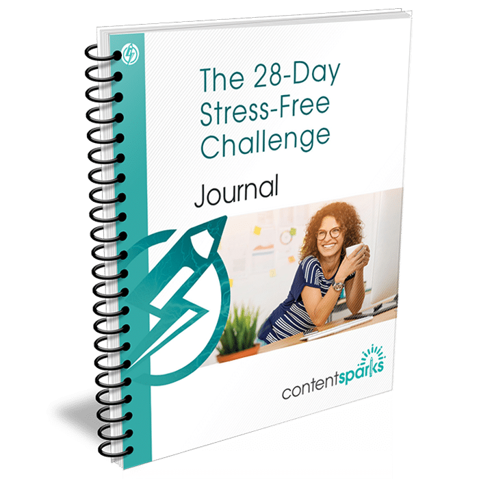StressMgmt_Journal_eCover3D