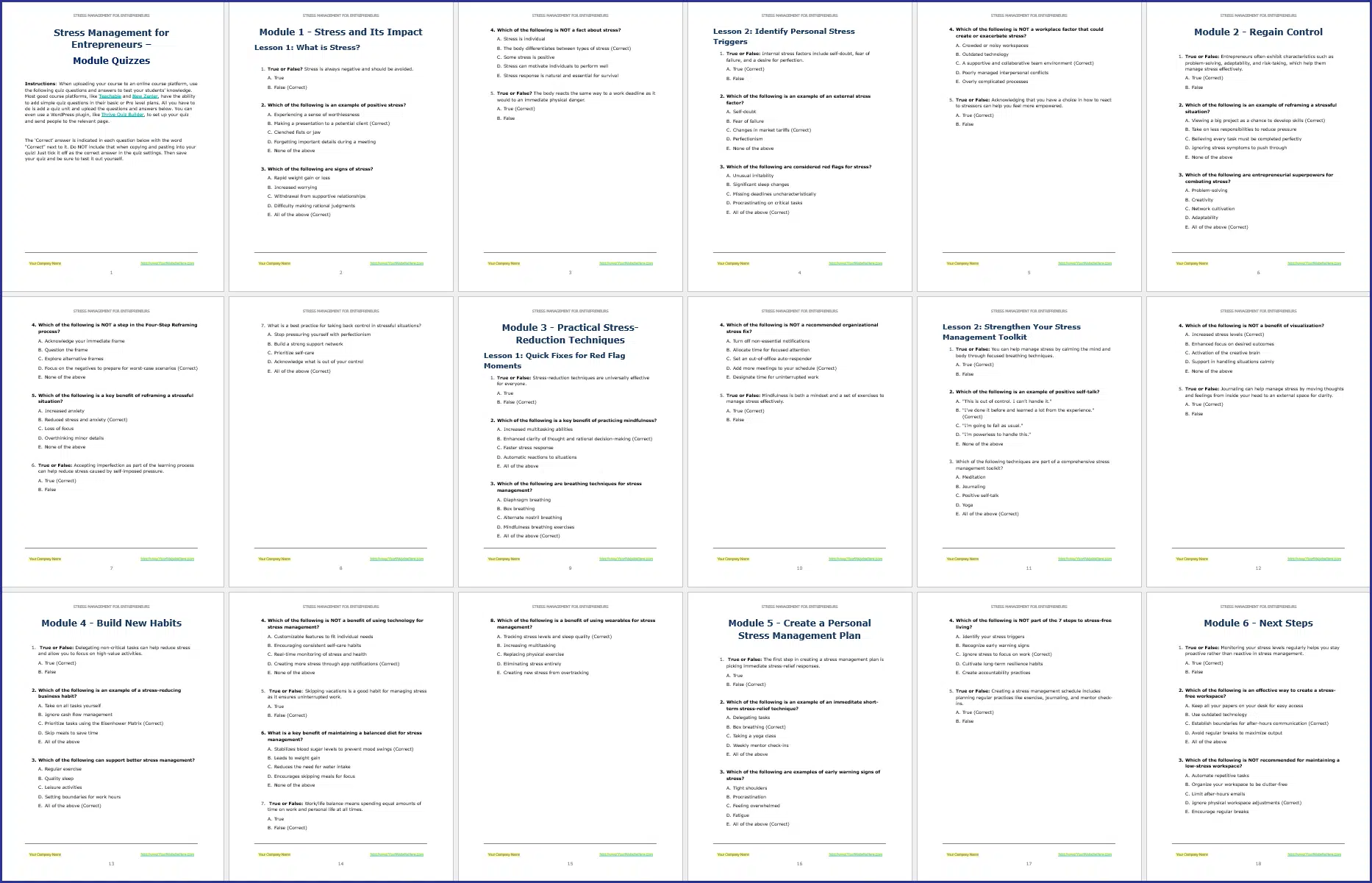 StressMgmt_Quizzes Stress Management PLR Course Quizzes
