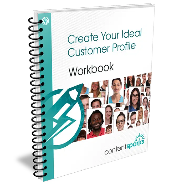 Create Your Ideal Customer Profile PLR Workbook