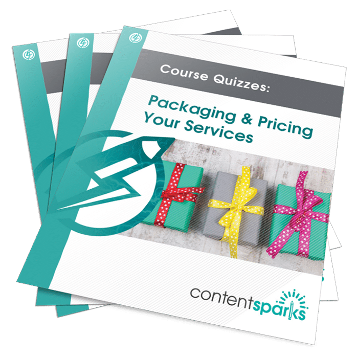 PackageServicesQuizzes_eCover3D Packaging & Pricing Your Services PLR Course Quizzes