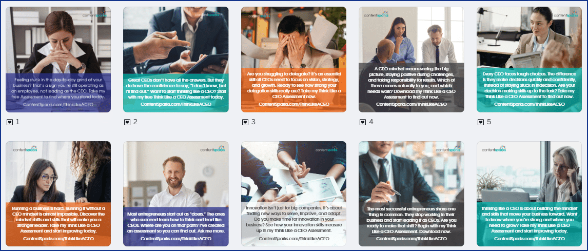 CEO_AssessmentImages CEO AssessmentImages