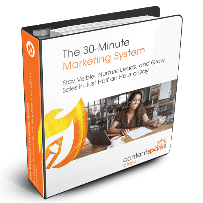 The 30-Minute Marketing System PLR course