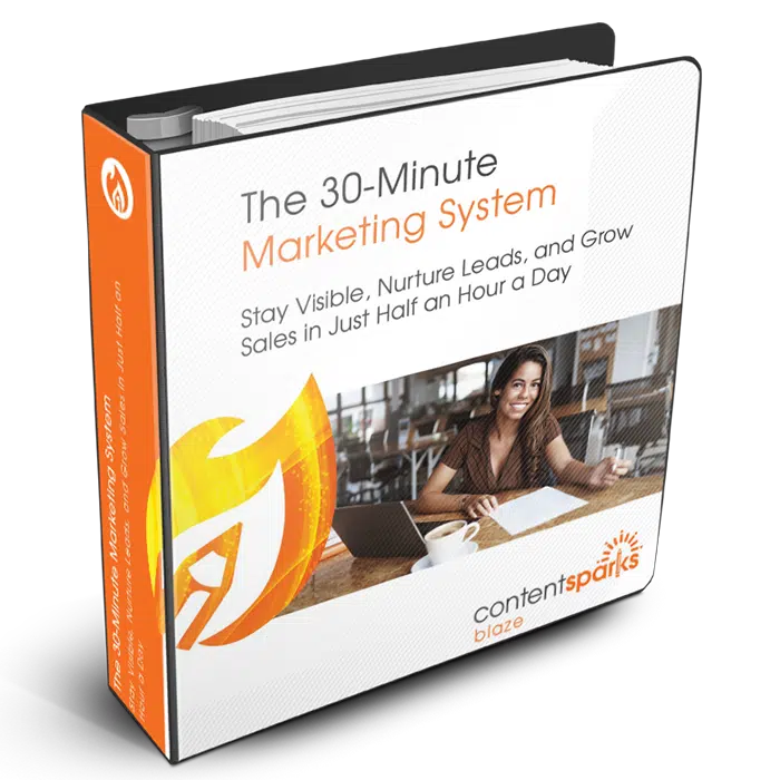 30MinMktg_Blaze3D The 30-Minute Marketing System PLR course