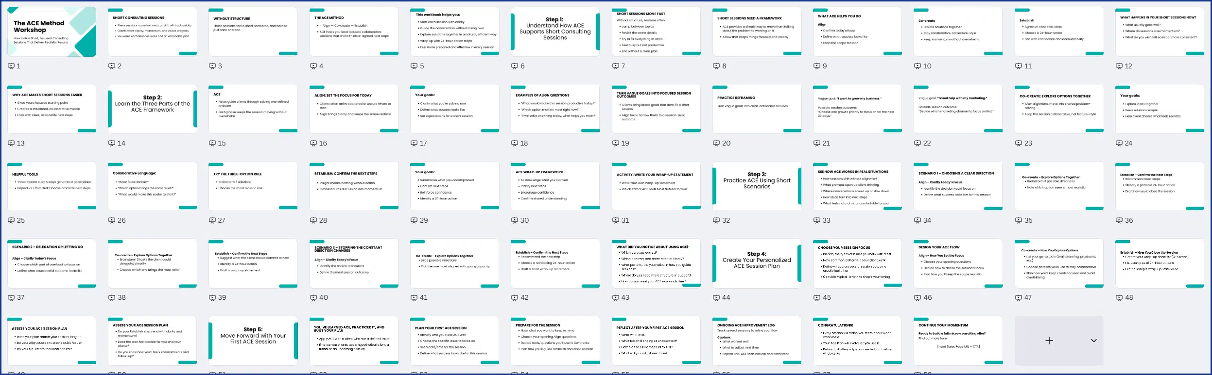 ACEWorshop_Slides The ACE Method PLR Workshop Slides