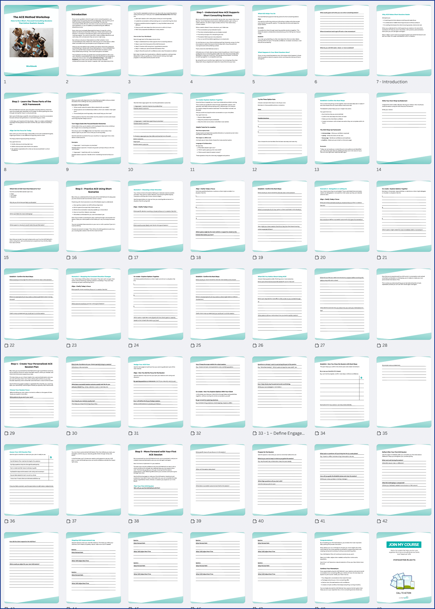 The ACE Method PLR Workshop Workbook