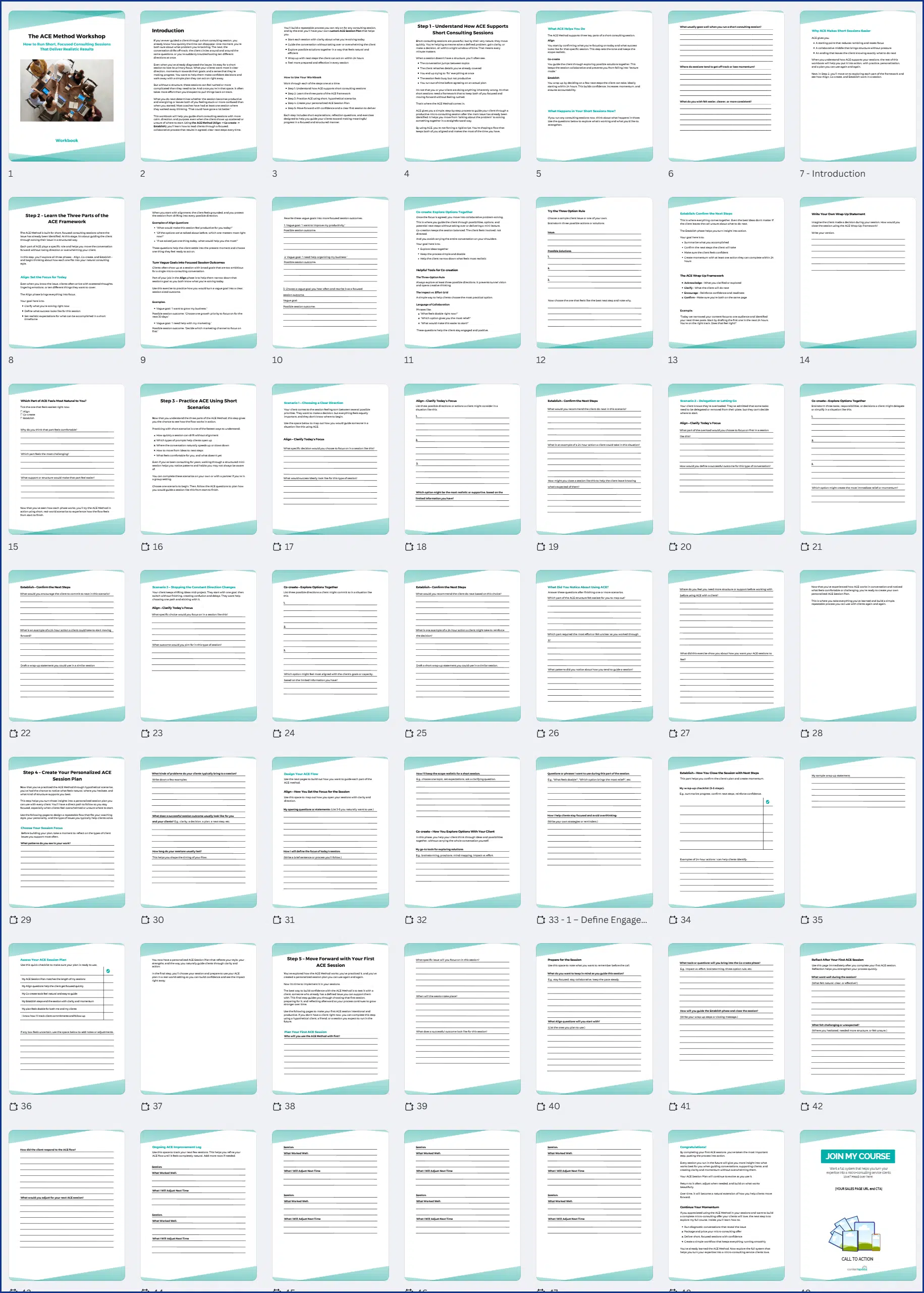 ACEWorshop_Workbook The ACE Method PLR Workshop Workbook