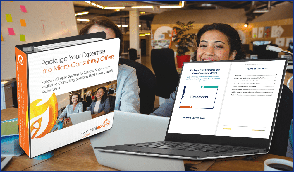 Micro-Consulting PLR Course