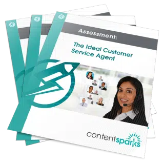 The Ideal Customer Service Agent – PLR Assessment