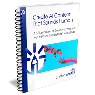 Create AI Content That Sounds Human PLR Course