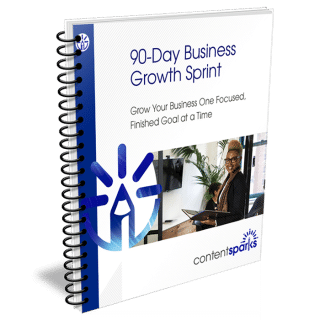 90-Day Business Growth Sprint PLR Course