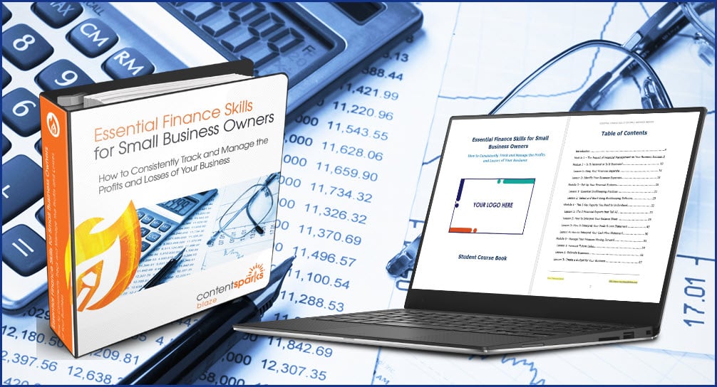 Essential Finance Skills for Small Business Owners PLR Course