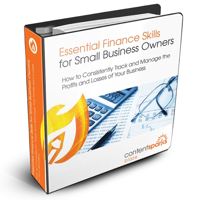 SmallBizFinance_Blaze3D Essential Finance Skills for Small Business Owners PLR Course